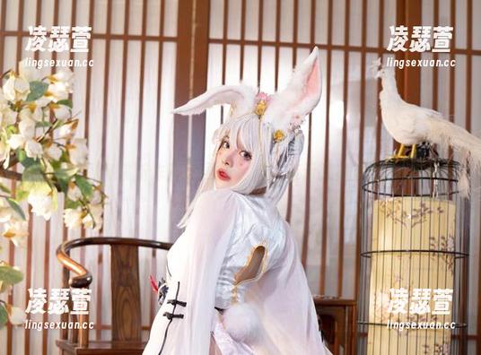 NinJa阿寨寨 NinJa阿寨寨新作照片更新,椿,暗示又不清晰的那种。