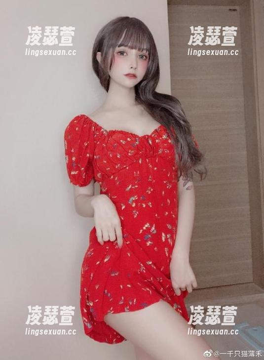 一千只猫薄禾说：下载我的粉色吧，反正也不收费…也不记账。