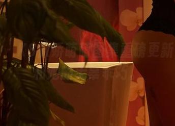 轰趴猫 – K8傲娇萌萌图集重磅更新：棉袜和她的无辜乖巧。